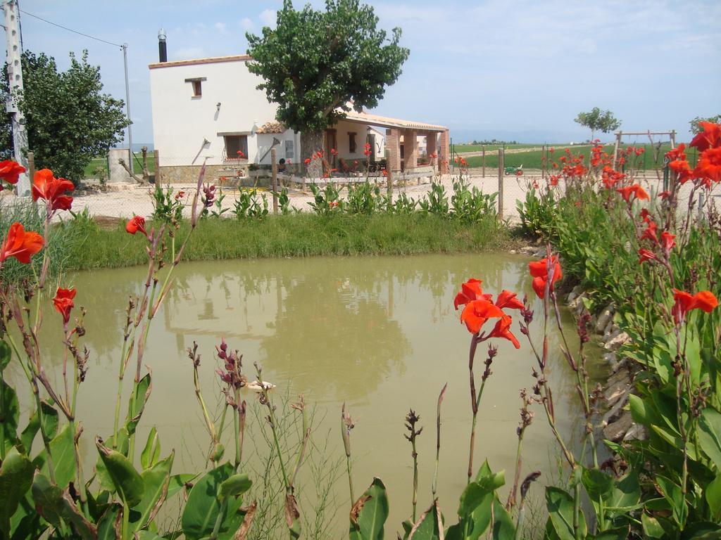 Caseta Les Creus Riumar Exterior photo